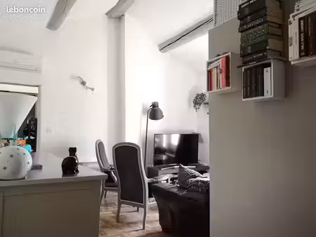 appartement 55 m2 + terrasse 11m2