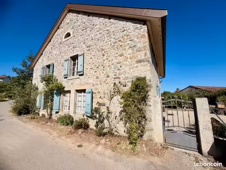 superbe maison familiale en pierres de caractère 218 m2 + jardin 901m2