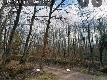 vends terrain boisé hargeville 78