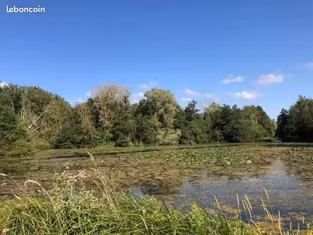étang