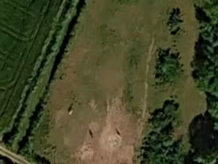 terrain