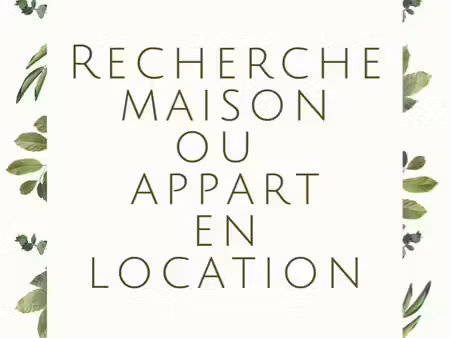 recherche maison ou appartement en location