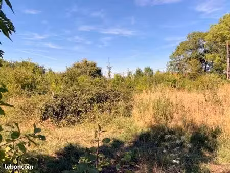 terrain 1 117 m² cerisiers