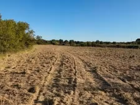 terrain a vendre loupian