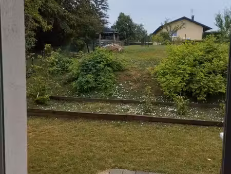 maison avec petit terrain