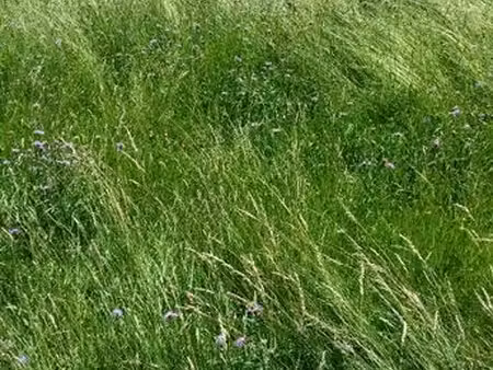 terrain de 1080 m2 entièrement constructible