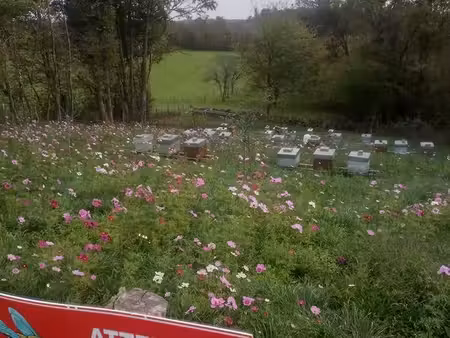 terrain agricole verger apiculture jardin