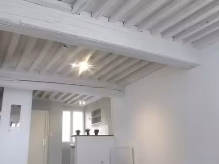 appartement de charme 33 m2 centre ville theatre saint michel dijon