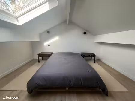 chambre mansardée 16 m² au sol – maison avec jardin – rer a – femme uniquement