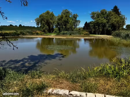travaux etang