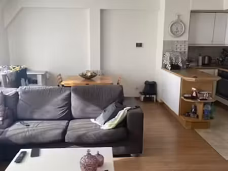 bel appartement lumineux
