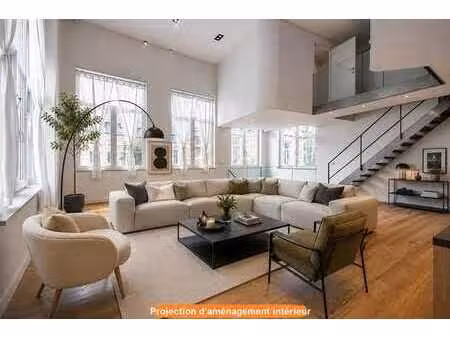 vétérinaires. loft/triplex 3 chambres