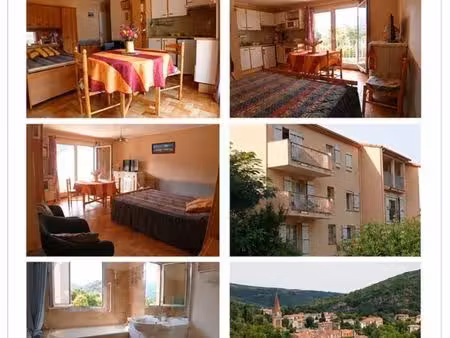 appartement à amélie-les-bains-palalda (66110)