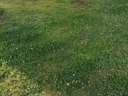 vente terrain à merlevenez (56700) : à vendre / merlevenez