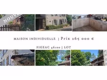 maison avec jardin et terrasse figeac (46)