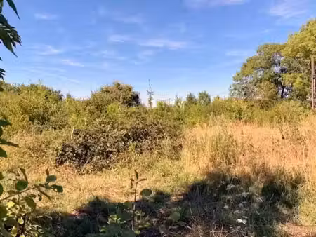 vente terrain 1117 m² à cerisiers (89320)  20 000 €