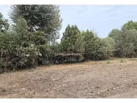 terrain constructible