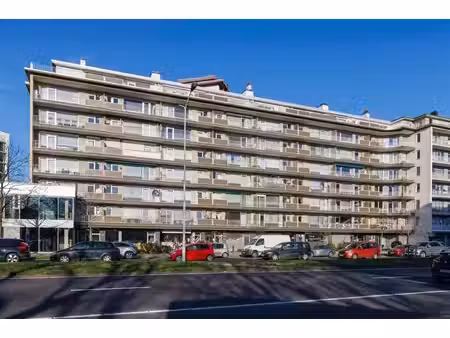 appartement te huur in borgerhout met 2 slaapkamers