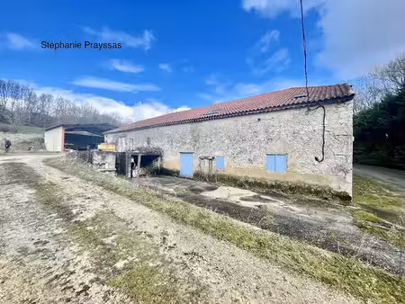vente locaux professionnels 521 m² à agen (47000)  120 000 €
