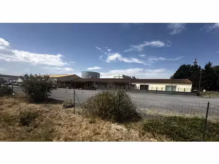 vente locaux professionnels 0 pièces 355 m² à dissay (86130)  300 000 €