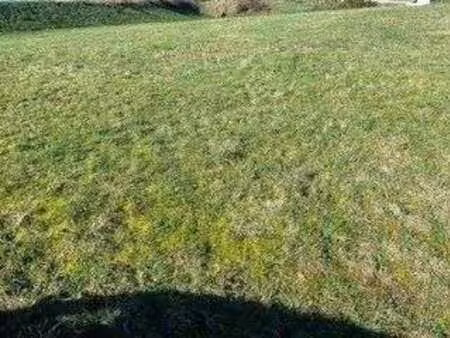 vente terrain à auray centre ville historique (56400) : à vendre / auray centre ville hist