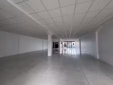 location locaux professionnels 1 pièce 200 m² à baie mahault (97122)  4 070 €