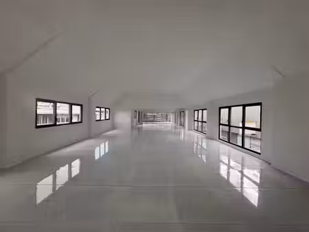 location locaux professionnels 1 pièce 286 m² à baie mahault (97122)  6 864 €