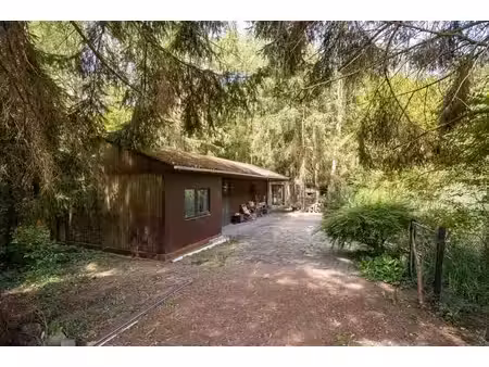 maison de vacances à rénover avec un étang à oud-heverlee.