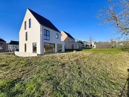 maison neuve à haute efficacité énergétique à nederhasselt