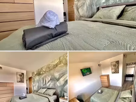 location appartement 1 pièce 11 m² à toulouse (31300)