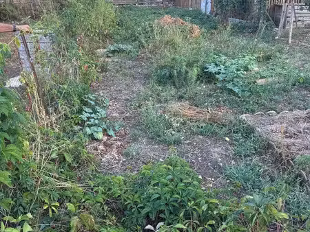 terrain pour animaux ou jardin