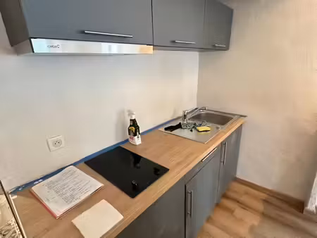 joli petit studio rénové rue eugene brunel