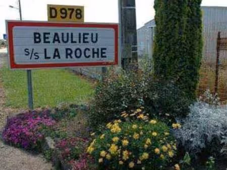 vente terrain à beaulieu-sous-la-roche (85190) : à vendre / beaulieu-sous-la-roche