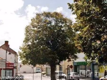 vente terrain à commequiers (85220) : à vendre / commequiers