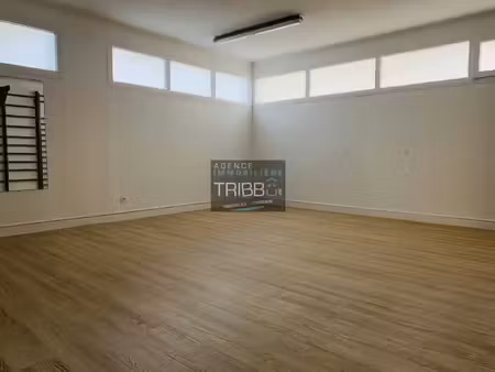 tribbu
