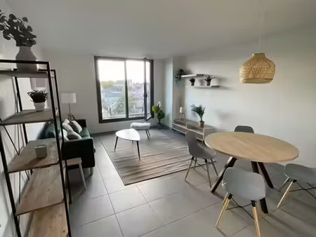 appartement t3 gare tours centre