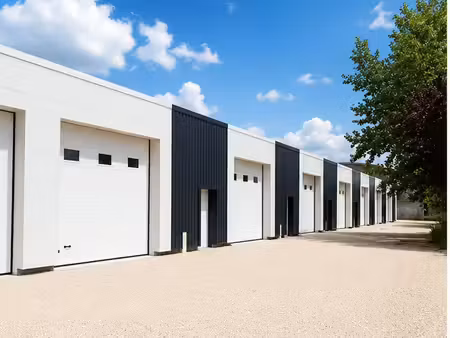 vente local d’activités chevilly 45520 387m²