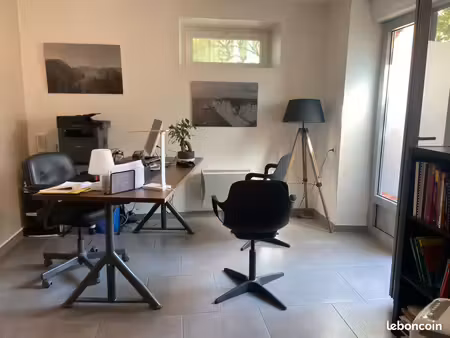 location local professionnel et appartement