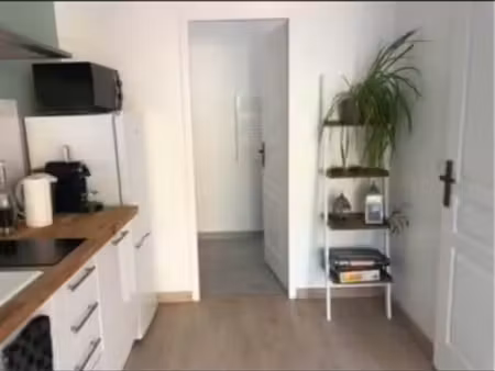 location maison individuelle