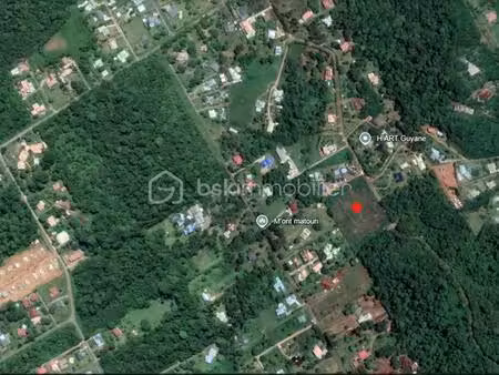 matoury – la chaumière – domaine naturel unique de plus de 32 hectares – sources naturelle