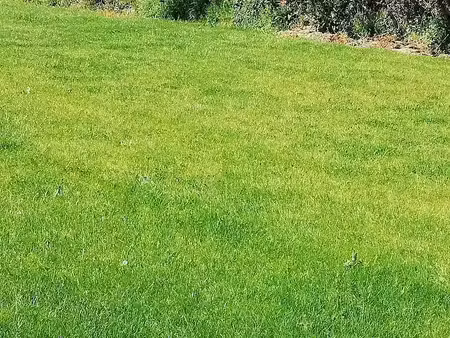 vente terrain 400 m² à saint-alban (22400)  92 000 €