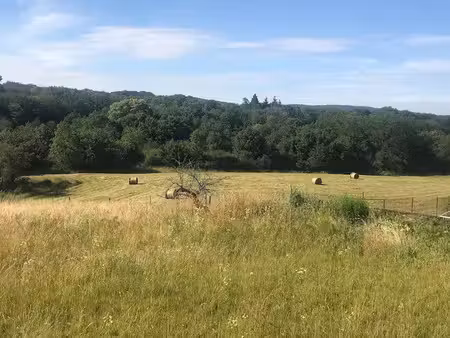 vente terrain à batir 1439 m² à besançon (25000)  105 000 €