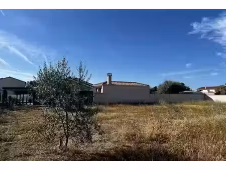 vente terrain 599 m² à plaisance-du-touch (31830)  183 000 €