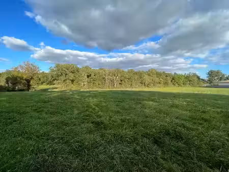 vente terrain 1000 m² à fontenilles (31470)  175 000 €
