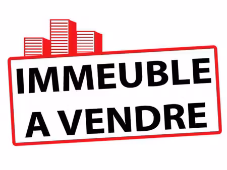 vente immeuble 197 m² pontivy (56300)