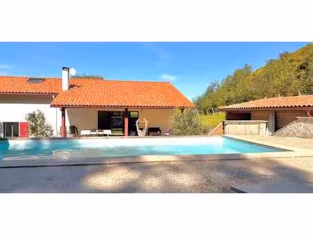 maison avec piscine et terrasse ascain (64)