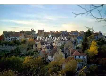 spike groen consultant megagence