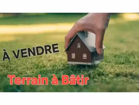 virginie david guillerault consultant megagence
