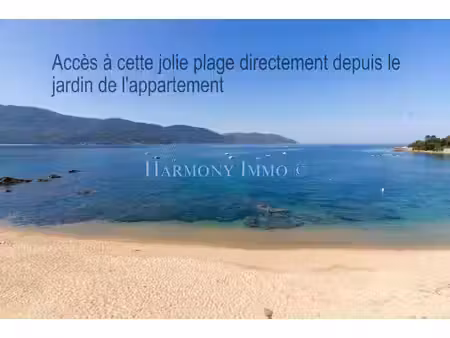 laurent morel mariani harmony immo