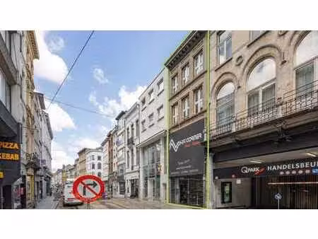 immeuble avec espace commercial et habitation près du meir